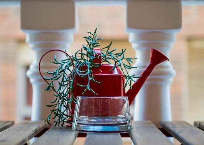 Sunrise Apolo * Torrevieja